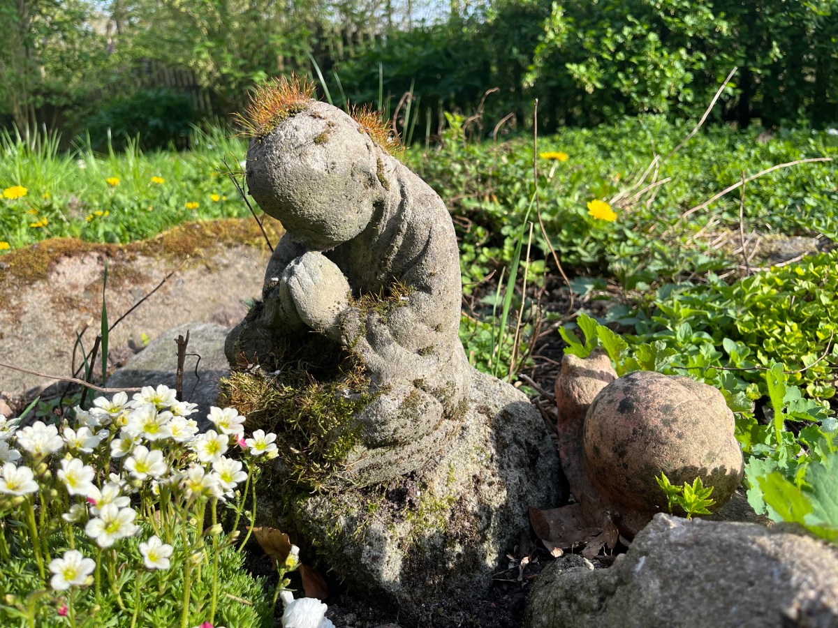 Wenn das Denken&nbsp;ändert