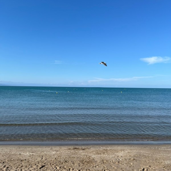 In die Zeit&nbsp;fallen